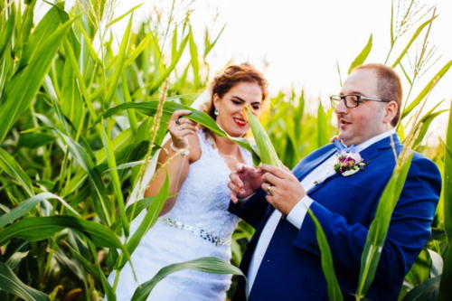 IMG 3007